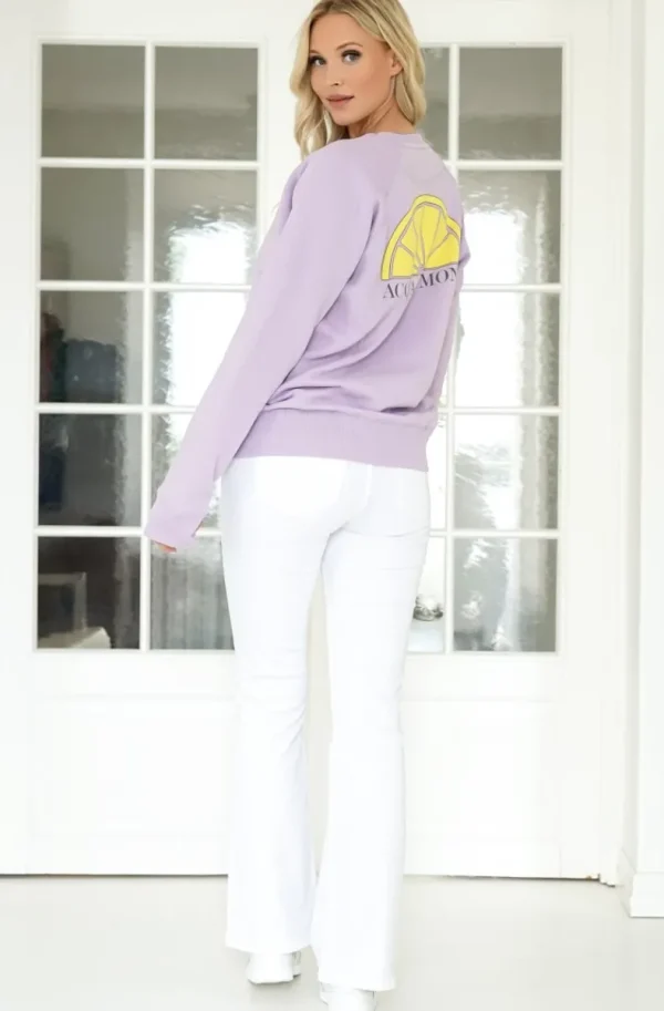 ACQUA LIMONE - College Classic Lilac Sale
