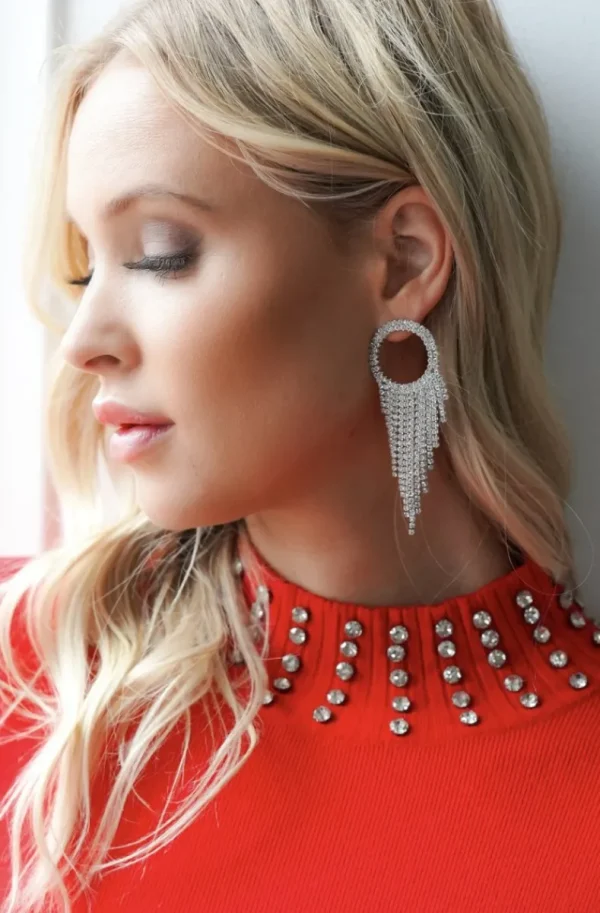 MIXED BRANDS - Earring with stones 321-78 - Silver Hot