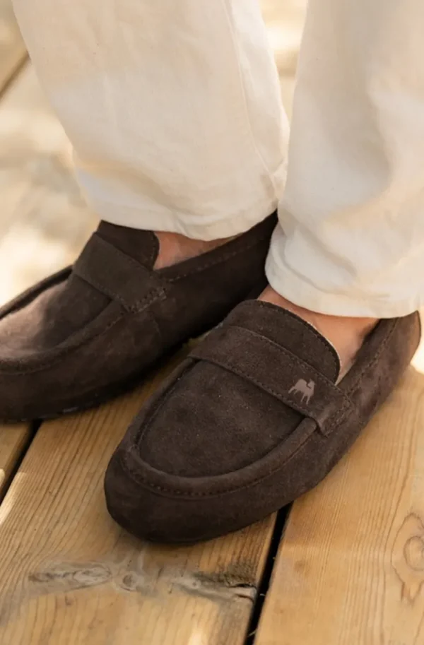 SHEPHERD OF SWEDEN - Denver - Moro Sale