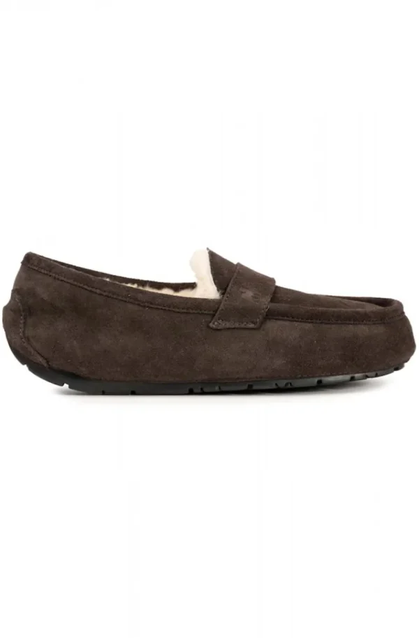 SHEPHERD OF SWEDEN - Denver - Moro Sale