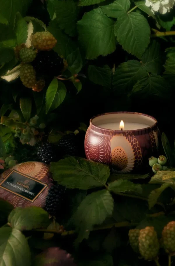 VOLUSPA - Foraged Wildberry Mini Decorative Tin Candle Outlet