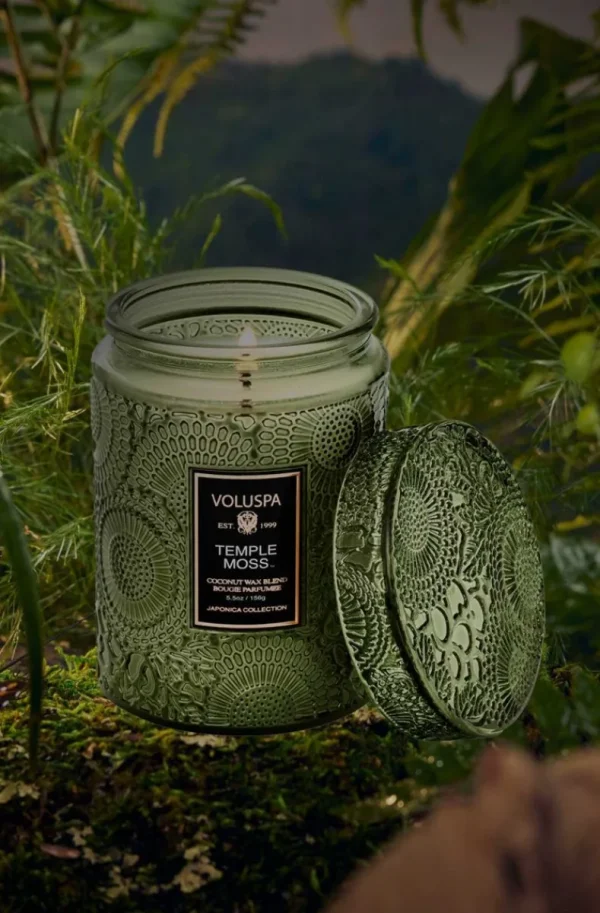 VOLUSPA - Temple Moss Small Jar Candle Best