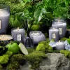 VOLUSPA - Ultrasonic Diffuser Fragrance Oil Apple Blue Clover Best
